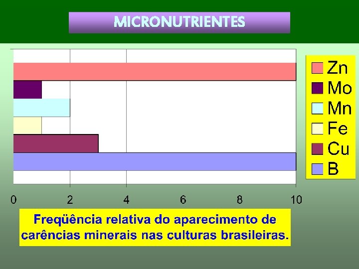 MICRONUTRIENTES 