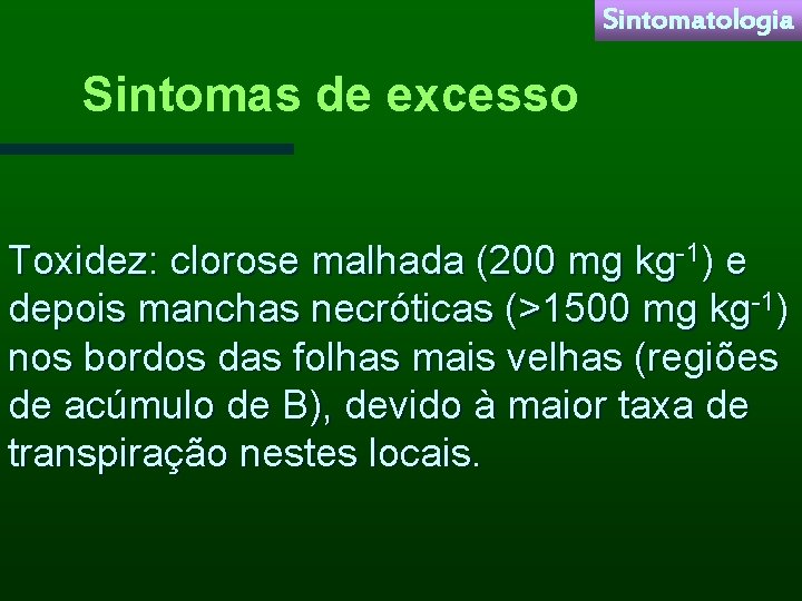 Sintomatologia Sintomas de excesso Toxidez: clorose malhada (200 mg kg-1) e depois manchas necróticas