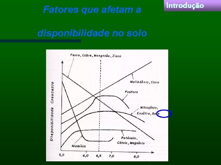 Fatores que afetam a disponibilidade no solo Introdução 