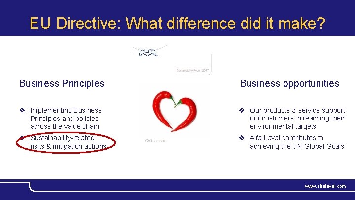 EU Directive: What difference did it make? Business Principles Business opportunities v Implementing Business