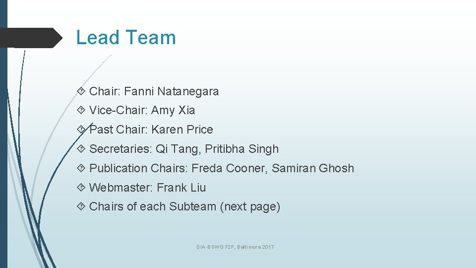 Lead Team Chair: Fanni Natanegara Vice-Chair: Amy Xia Past Chair: Karen Price Secretaries: Qi