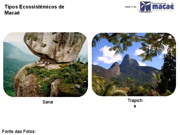 Tipos Ecossistêmicos de Macaé Sana Fonte das Fotos: Trapich e 