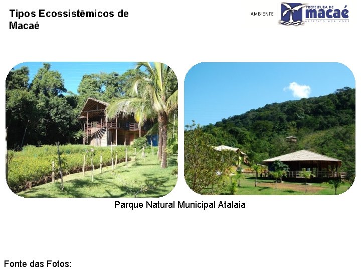 Tipos Ecossistêmicos de Macaé Parque Natural Municipal Atalaia Fonte das Fotos: 