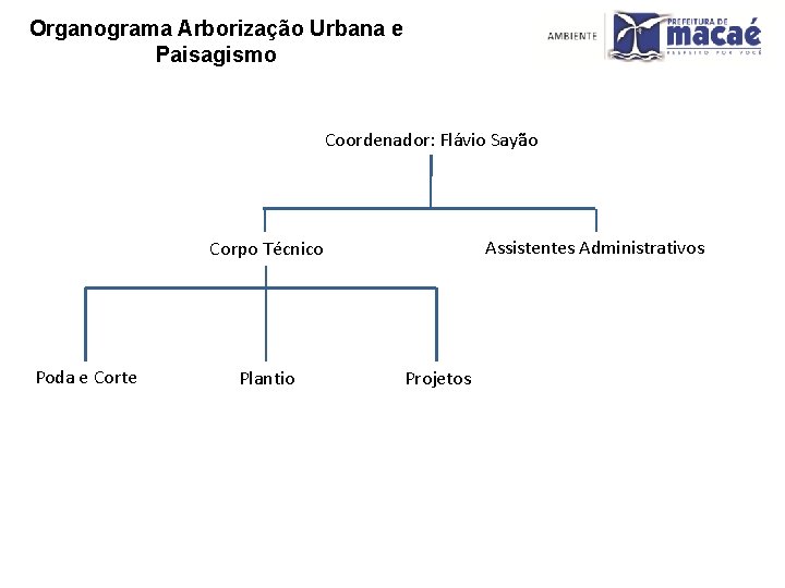 Organograma Arborização Urbana e Paisagismo Coordenador: Flávio Sayão Assistentes Administrativos Corpo Técnico Poda e