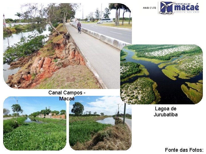 Canal Campos Macaé Lagoa de Jurubatiba Fonte das Fotos: 