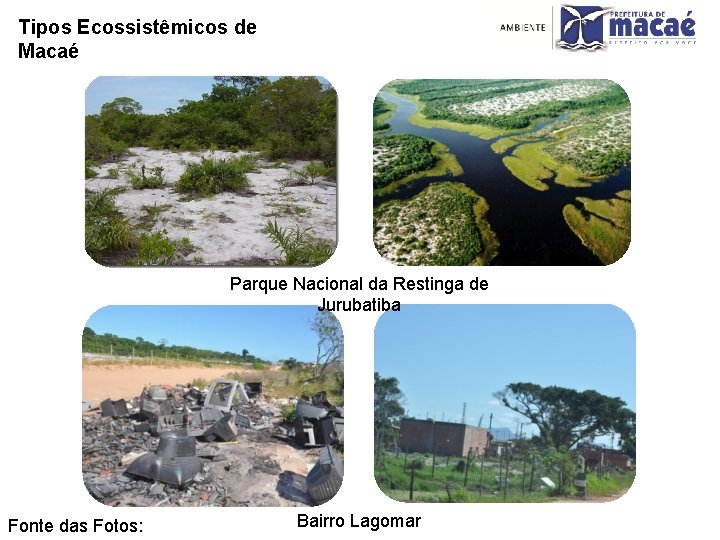 Tipos Ecossistêmicos de Macaé Parque Nacional da Restinga de Jurubatiba Fonte das Fotos: Bairro
