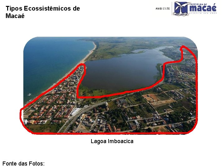 Tipos Ecossistêmicos de Macaé Lagoa Imboacica Fonte das Fotos: 