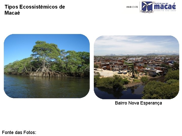 Tipos Ecossistêmicos de Macaé Bairro Nova Esperança Fonte das Fotos: 