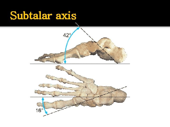 Subtalar axis 