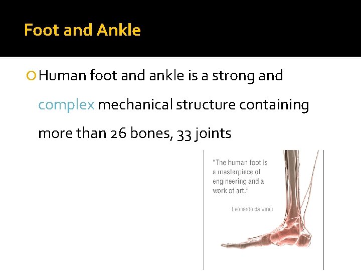 Foot and Ankle Human foot and ankle is a strong and complex mechanical structure