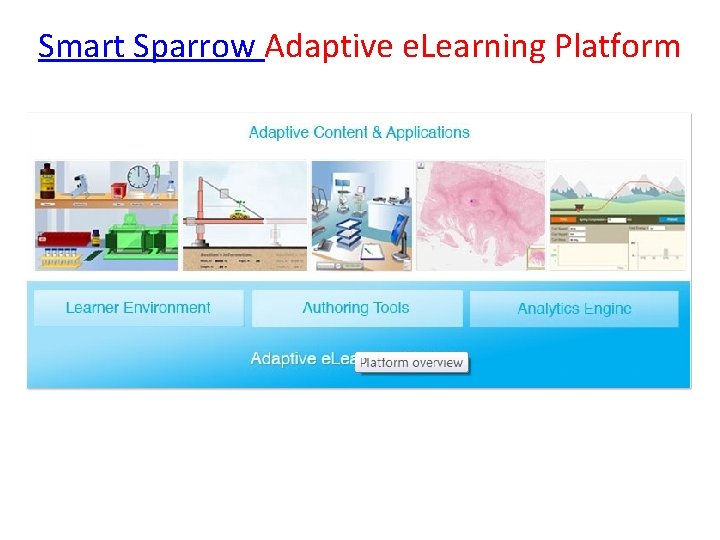 Smart Sparrow Adaptive e. Learning Platform 