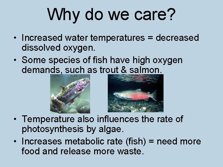 Why do we care? • Increased water temperatures = decreased dissolved oxygen. • Some