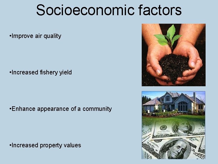 Socioeconomic factors • Improve air quality • Increased fishery yield • Enhance appearance of