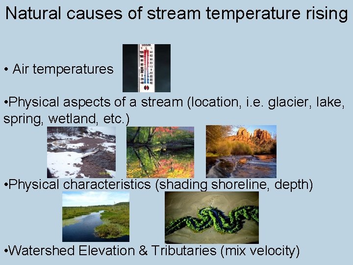 Natural causes of stream temperature rising • Air temperatures • Physical aspects of a