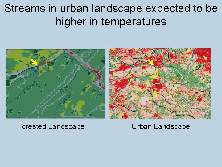 Streams in urban landscape expected to be higher in temperatures Forested Landscape Urban Landscape