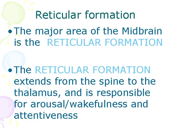 Reticular formation • The major area of the Midbrain is the RETICULAR FORMATION •