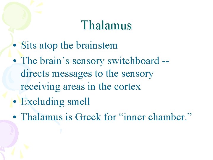 Thalamus • Sits atop the brainstem • The brain’s sensory switchboard -directs messages to