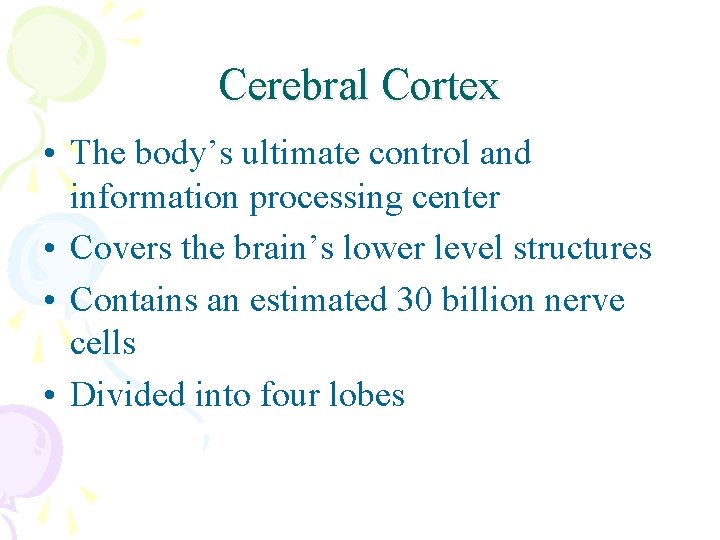 Cerebral Cortex • The body’s ultimate control and information processing center • Covers the