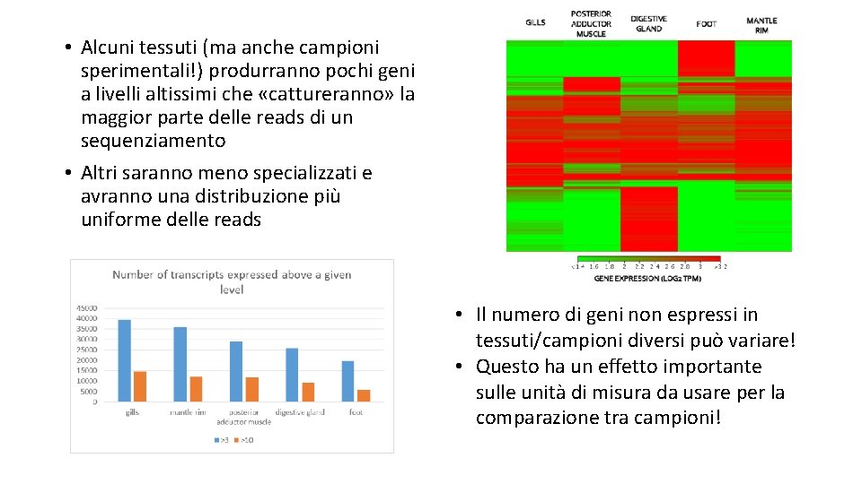  • Alcuni tessuti (ma anche campioni sperimentali!) produrranno pochi geni a livelli altissimi