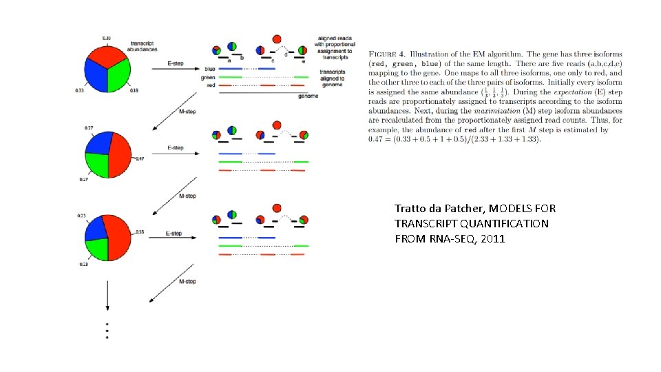 Tratto da Patcher, MODELS FOR TRANSCRIPT QUANTIFICATION FROM RNA-SEQ, 2011 