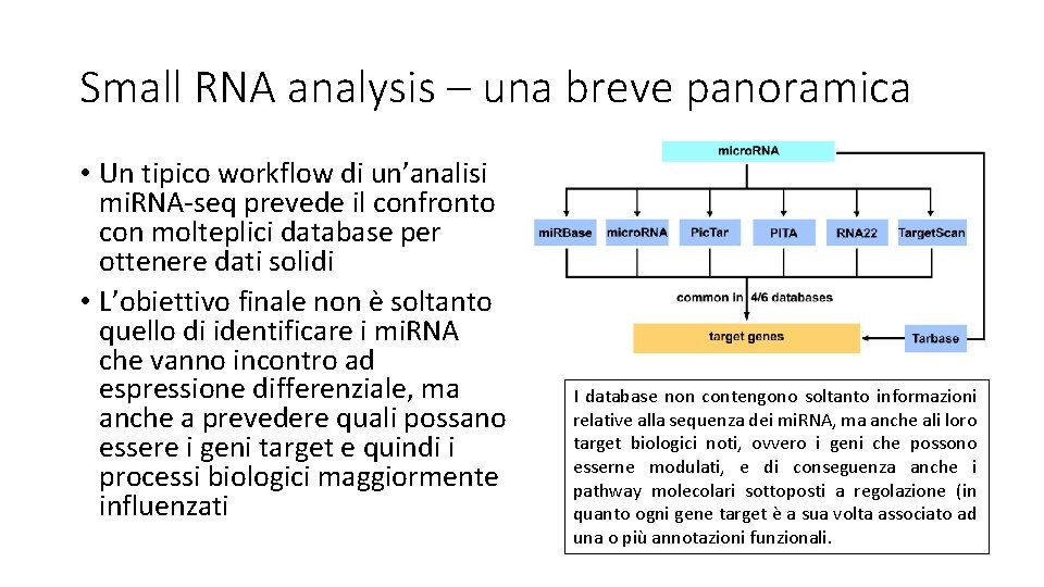 Small RNA analysis – una breve panoramica • Un tipico workflow di un’analisi mi.