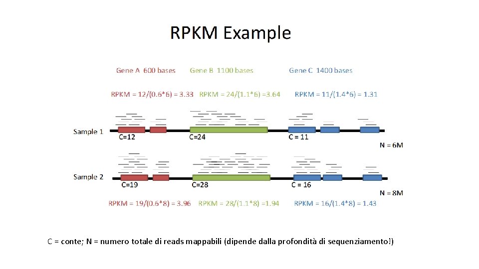 C = conte; N = numero totale di reads mappabili (dipende dalla profondità di