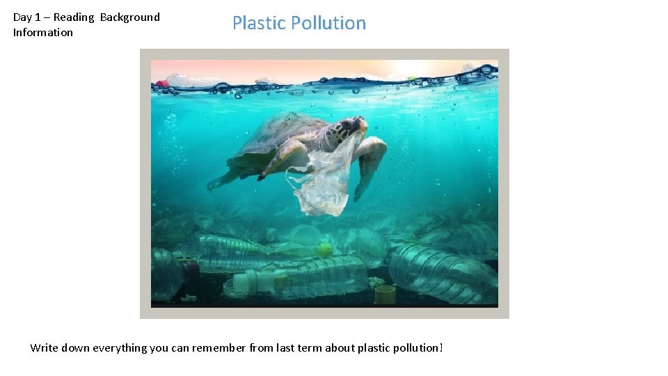 Day 1 – Reading Background Information Plastic Pollution Write down everything you can remember