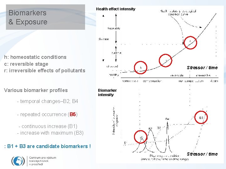 Biomarkers & Exposure Health effect intensity h: homeostatic conditions c: reversible stage r: irreversible