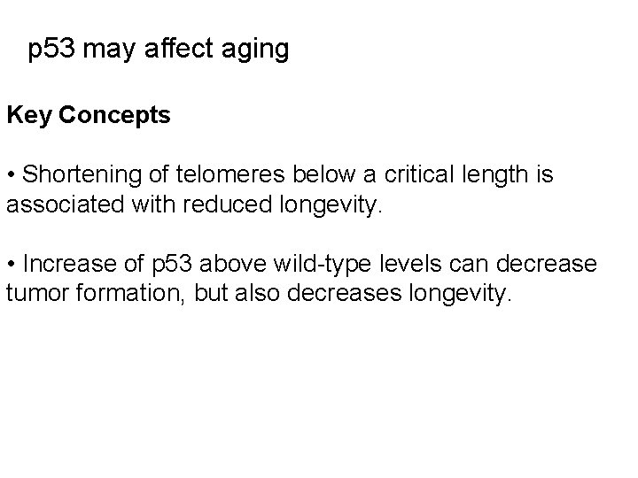 p 53 may affect aging Key Concepts • Shortening of telomeres below a critical