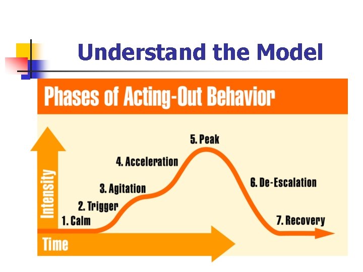 Understand the Model 