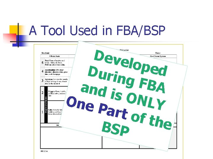 A Tool Used in FBA/BSP Deve loped Durin g FBA and i s ONLY