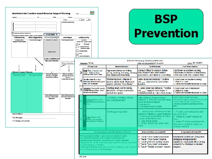 BSP Prevention 