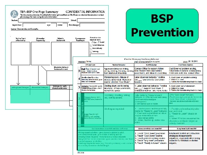 BSP Prevention 