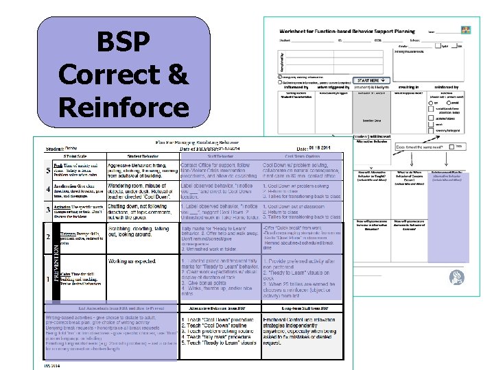 BSP Correct & Reinforce 