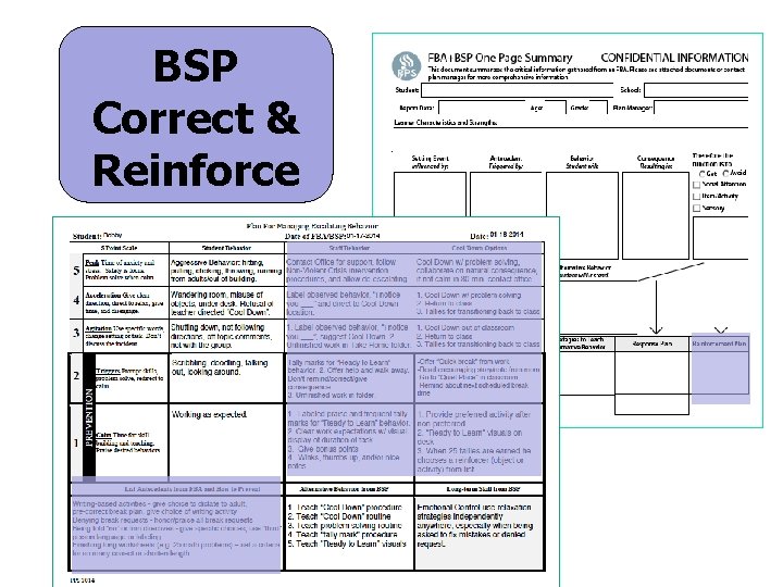 BSP Correct & Reinforce 