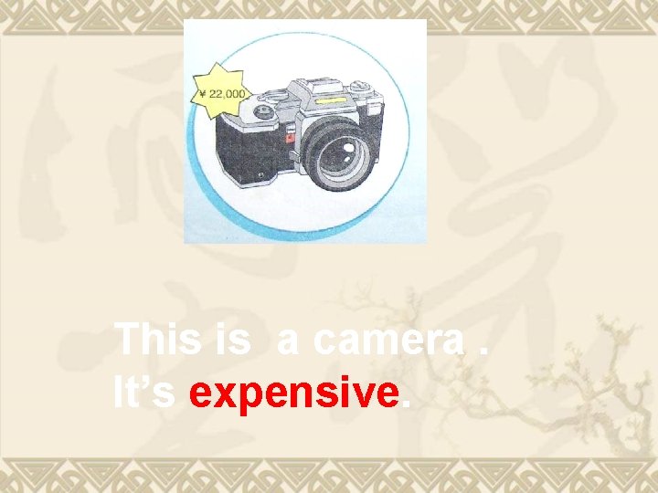 This is a camera. It’s expensive. This is a camera. It’s expensive.