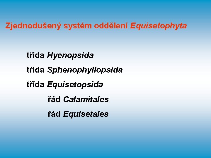 Zjednodušený systém oddělení Equisetophyta třída Hyenopsida třída Sphenophyllopsida třída Equisetopsida řád Calamitales řád Equisetales
