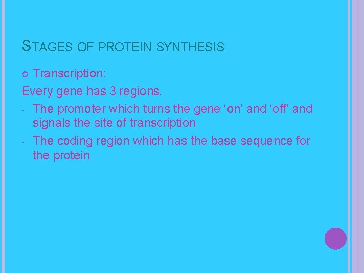 STAGES OF PROTEIN SYNTHESIS Transcription: Every gene has 3 regions. - The promoter which