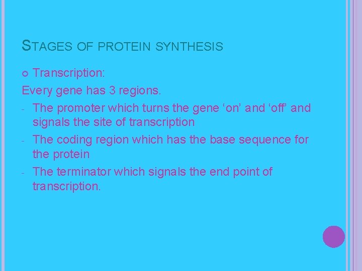 STAGES OF PROTEIN SYNTHESIS Transcription: Every gene has 3 regions. - The promoter which