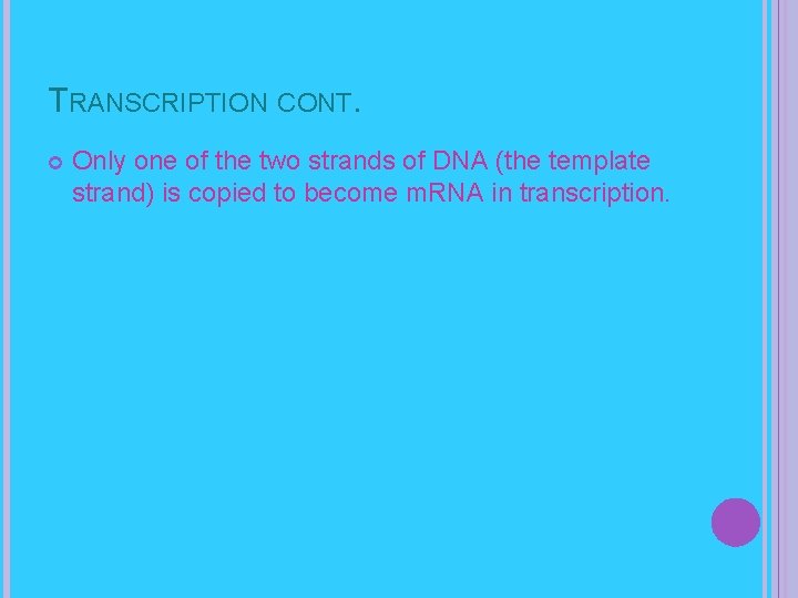 TRANSCRIPTION CONT. Only one of the two strands of DNA (the template strand) is
