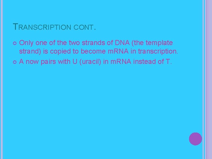 TRANSCRIPTION CONT. Only one of the two strands of DNA (the template strand) is