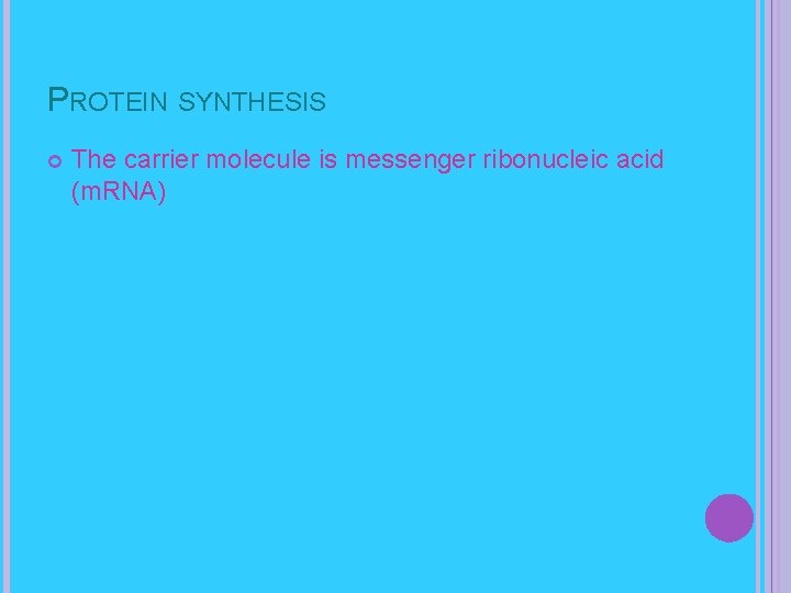 PROTEIN SYNTHESIS The carrier molecule is messenger ribonucleic acid (m. RNA) 