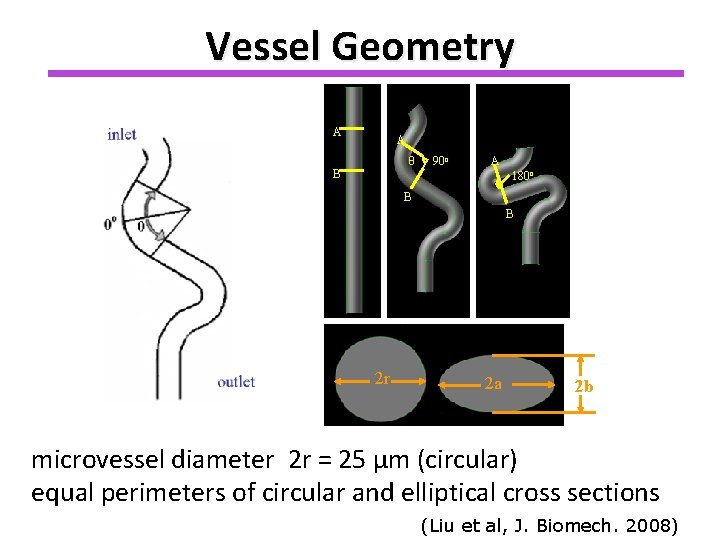 Vessel Geometry A A θ B Ө 90 o A 180 o B B