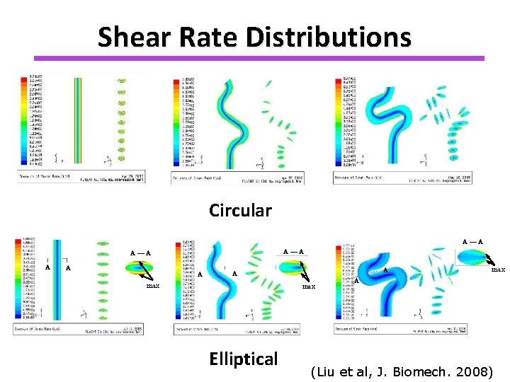 Shear Rate Distributions Circular A—A A—A A A max Elliptical max A (Liu et