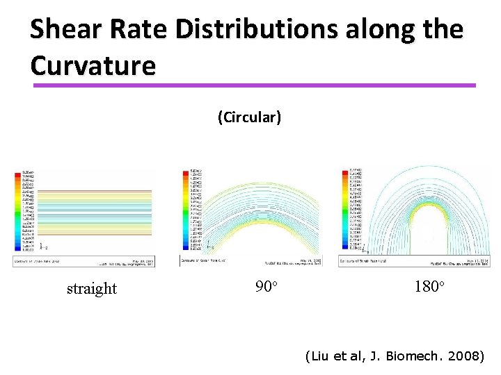 Shear Rate Distributions along the Curvature (Circular) straight 90 o 180 o (Liu et