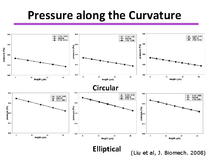 Pressure along the Curvature Circular Elliptical (Liu et al, J. Biomech. 2008) 