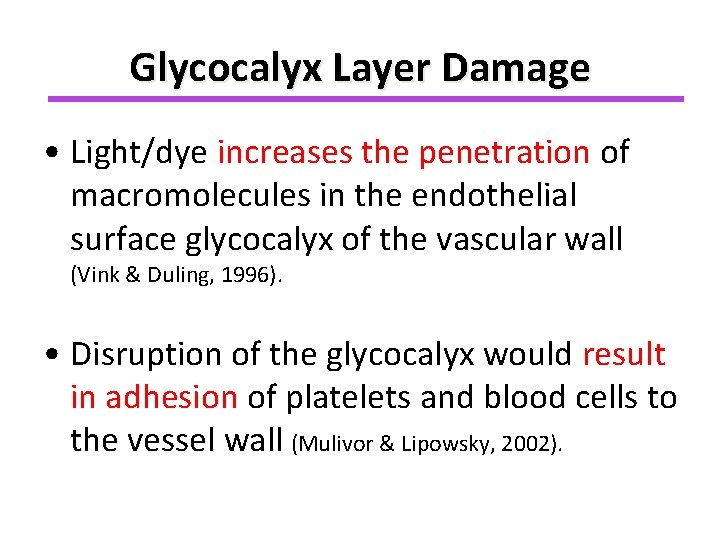 Glycocalyx Layer Damage • Light/dye increases the penetration of macromolecules in the endothelial surface