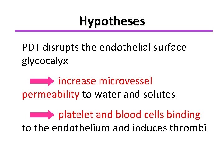 Hypotheses PDT disrupts the endothelial surface glycocalyx increase microvessel permeability to water and solutes