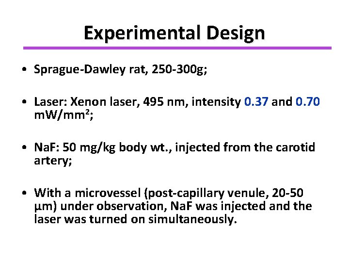 Experimental Design • Sprague-Dawley rat, 250 -300 g; • Laser: Xenon laser, 495 nm,