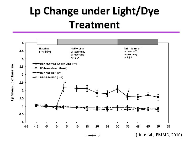 Lp Change under Light/Dye Treatment (Liu et al. , BMMB, 2010) 